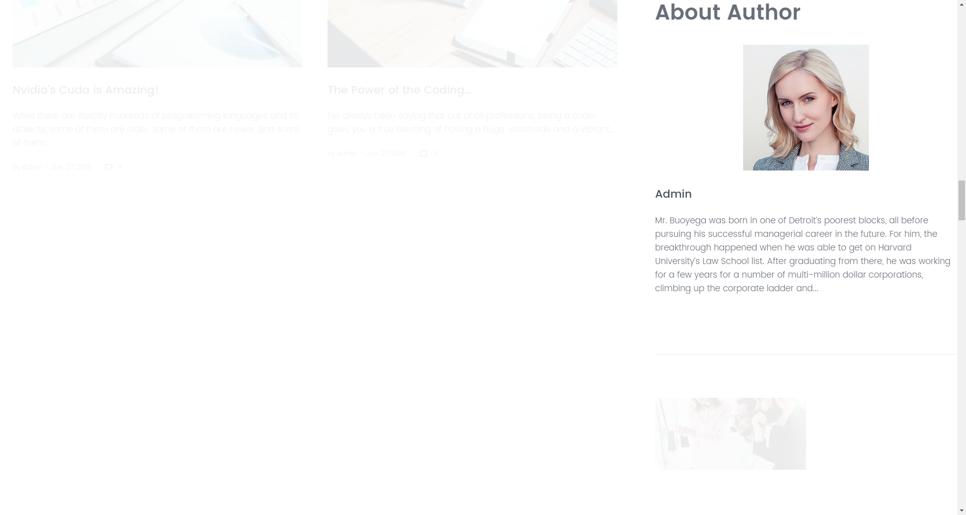 About Author widget
