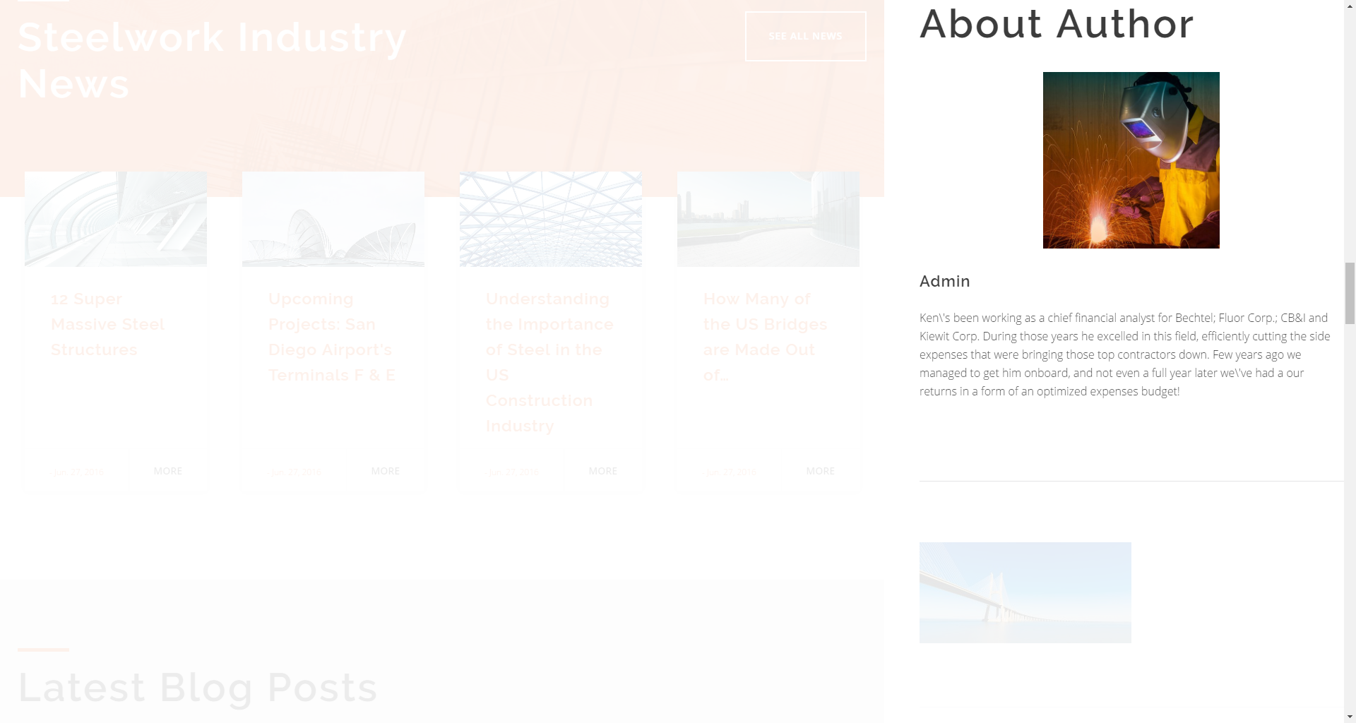 About Author widget
