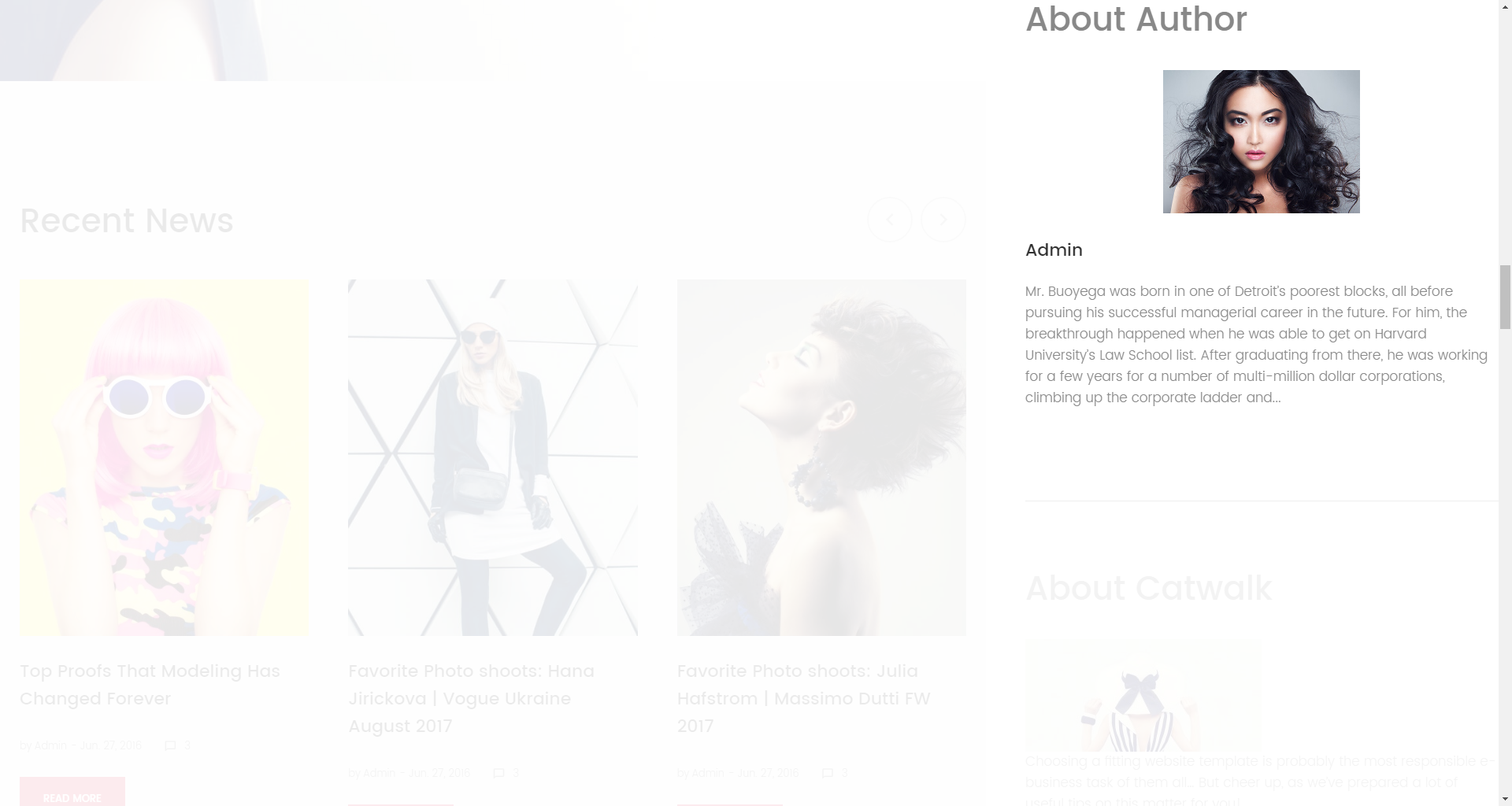 About Author widget