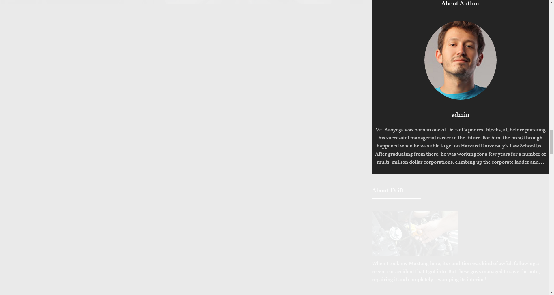 About Author widget