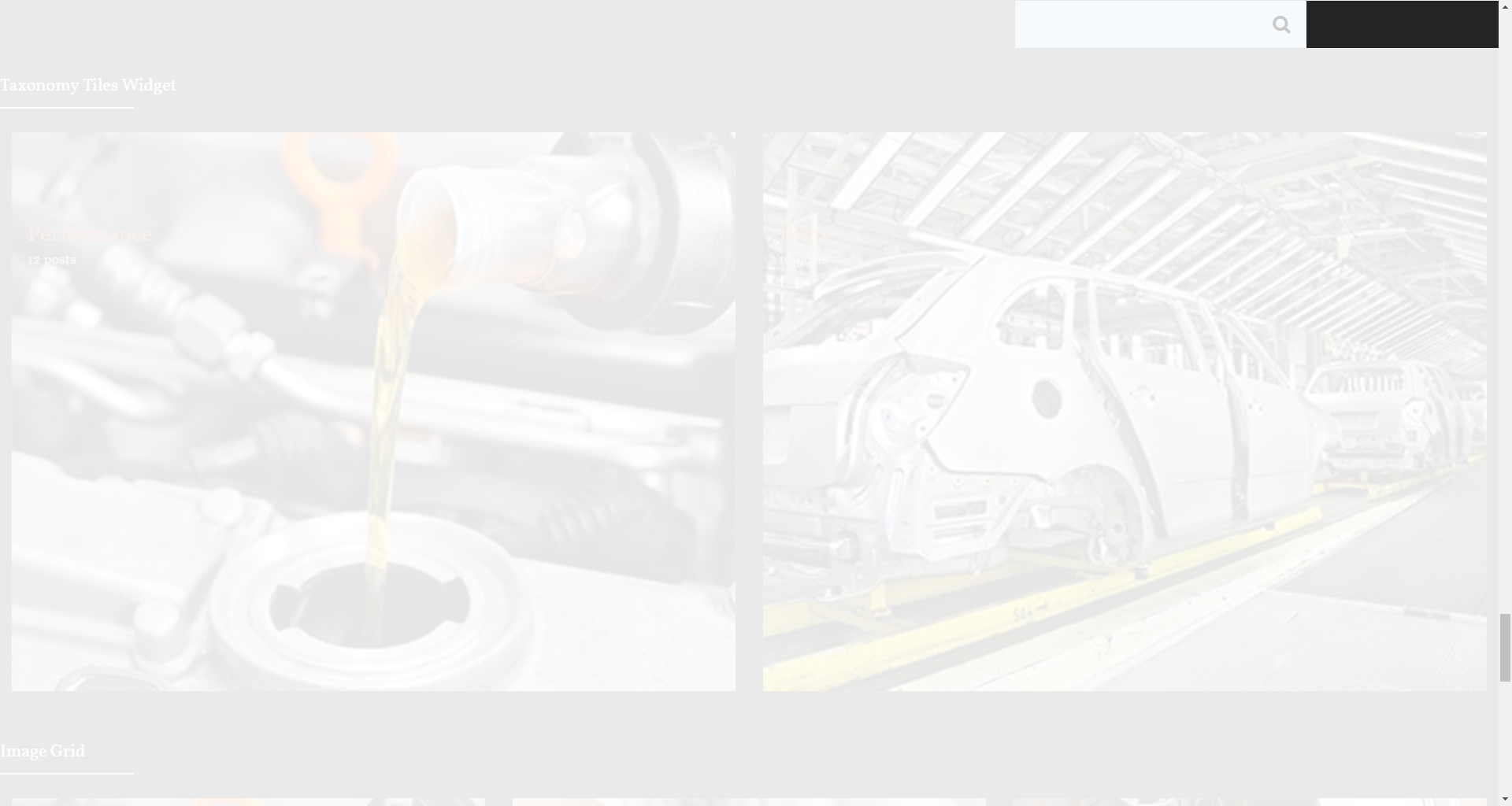 Search widget