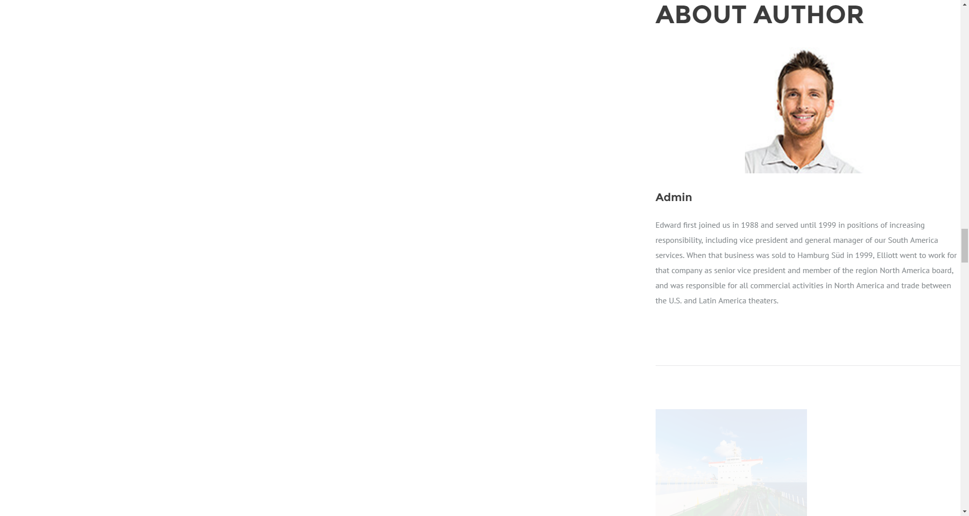 About Author widget
